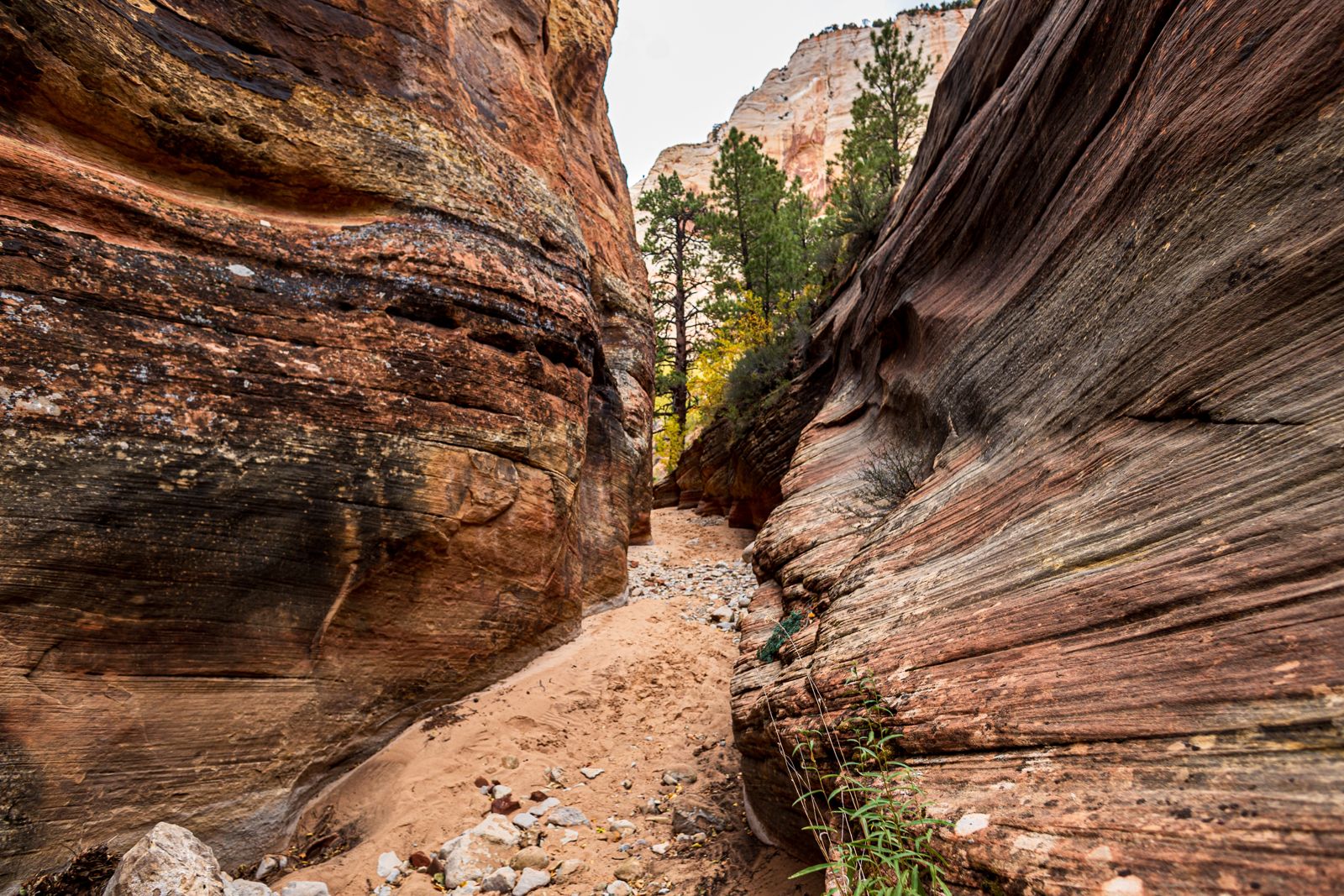 A narrow sandstone slot canyon with swirling walls