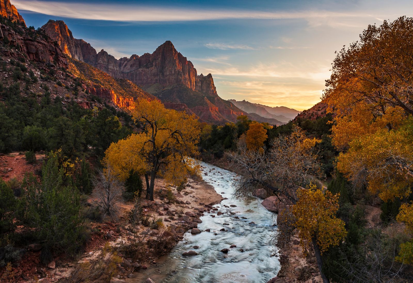 The Watchman above the Virgin River and autumn cottonwoods at sunset